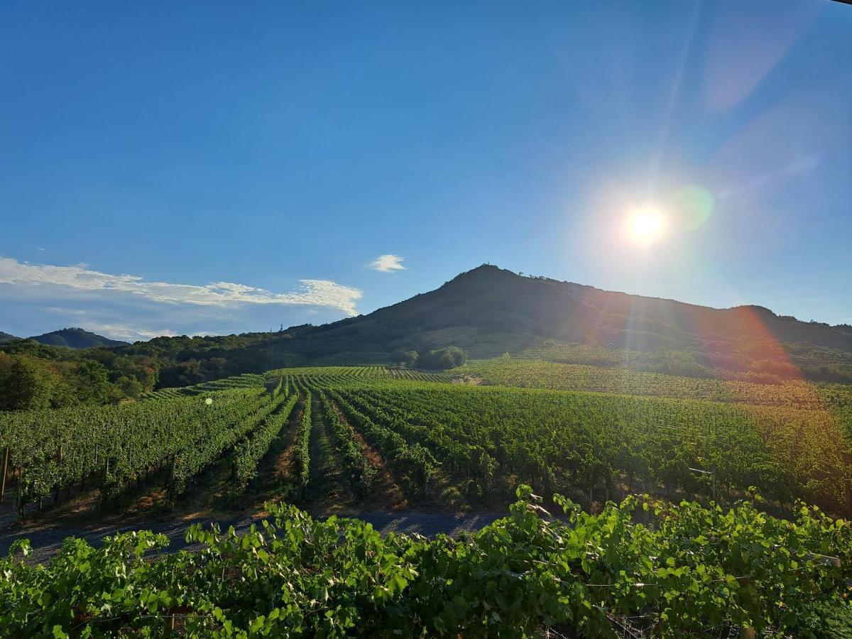 Posestvo Rouna - Winery And Apartments Vipava Extérieur photo